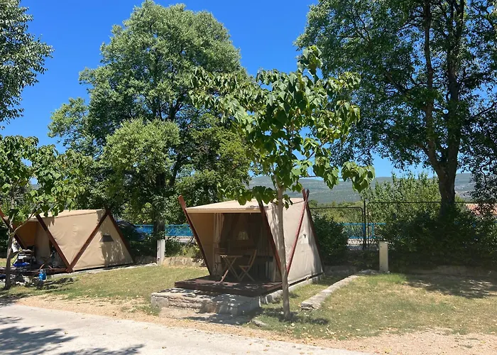 Karin 고르니 카린