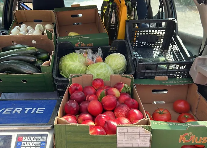 Karin Горни-Карин